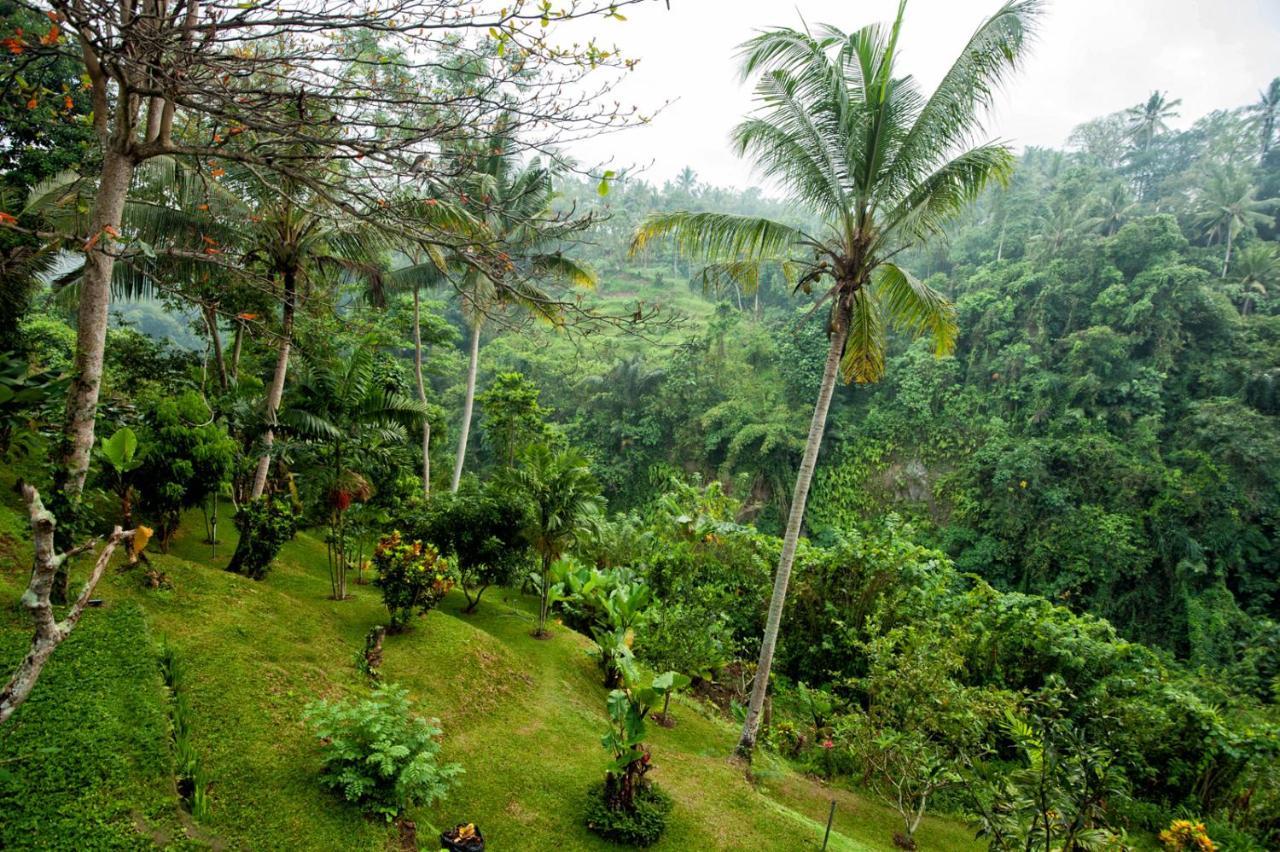 Beji Ubud Resort Exteriér fotografie